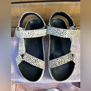 NEW Band of Gypsies, Newport platform strap sandal white cow hair Leather Sz 5.